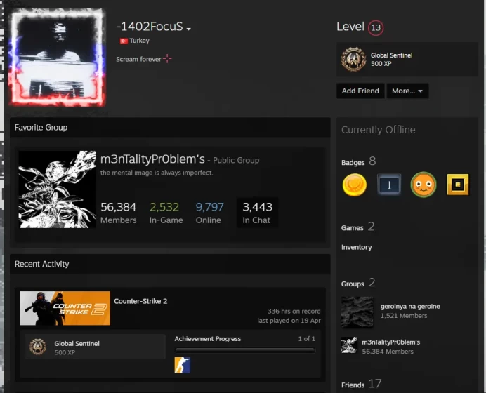 CS470 Prime Enabled, 300+ Hours in CS2, 1000 FACEIT ELO, FACEIT Level 4, Third Season Medal, Medal of Service 2025