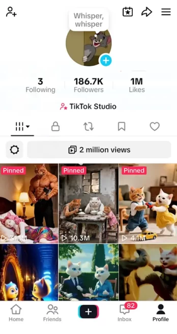Instanly Delivery/ 186K Real Followers+1M Real Likes Account/ Live Stream/ Full Access