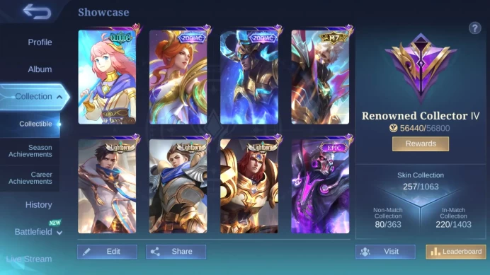 Hero 131|Skin 257|Clouds Kagura|M7 Granger|Lightborn Granger Alucard|Zodiac Martis Aurora|CC Natalia|Dtamer Kimmy Valir ML249B