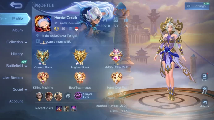 Hero 93 | Skin 207 | Collector Silvana | Luckybox Hayabusa+Selena+Kimmy | Kof Karina | Champion Joy and etc check SS ML467B