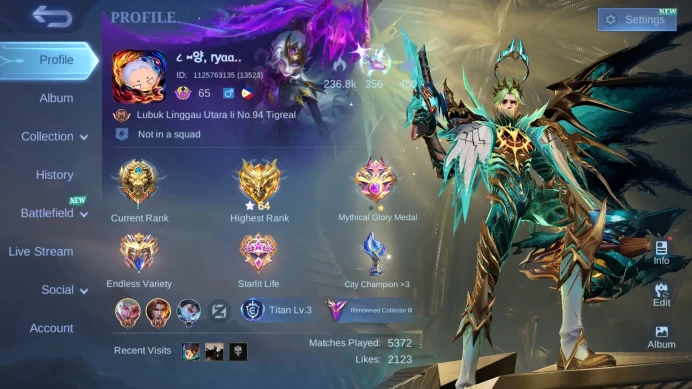 Hero 97 | Skin 234 | Prime Granger | Kof Karina | Star Annual Hayabusa | Star Annual Kagura | Zodiac Odette+Lunox ML498B