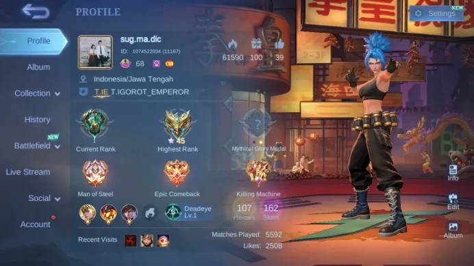 Hero 107|Skin 162|Emblem Max|KOF Karina|CC Nata|Luckybox Guinevere|M4 Beatrix|Valentine Fanny|Lightborn Alucard Granger ML660B