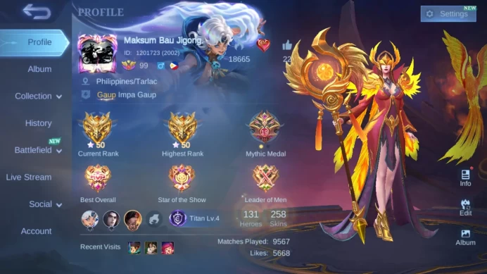 Hero 131|Skin 258|KOF Karina|Annual Kagura|CC Pharsa|Dtamer Kimmy|Lightborn Tigreal|Epic Zilong Harley Irithel Lunox ML767B