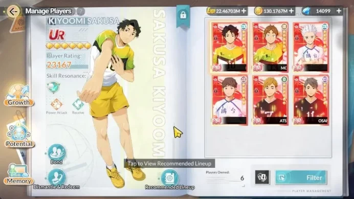 SEA Lv60|14K Diamond| 5 SP [Hinata,Kenma,Bokuto,Keiji,Tetsuro]+Memo| 6 UR [Sakusa,Komori,Hirugami]+Memo |22 SSR|Goggle|(HFH1027)