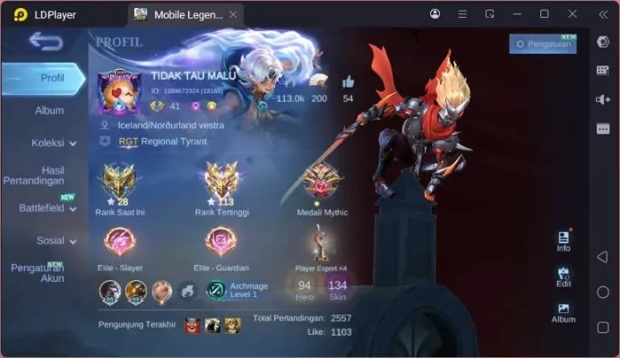 GLOBAL|Hero 94|Skin 134|Annual Hayabusa,CC Natalia,LNR Sun,3 Mystic meow,epic Kagura,Light Harith,etc|Expert|Check SS|ML1657B