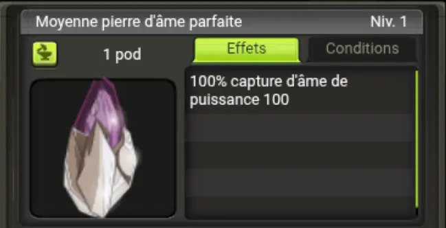 [Kelerog] x100 Moyenne pierre d'âme parfaite - Instant Delivery !
