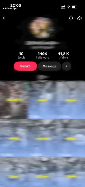 USA | 1.100+ Real Followers | High Engagement | 11.000+ Real likes | 100k+ Viral Views | Live Ready | Monetized Country | Beta| INSTANT DELIVERY