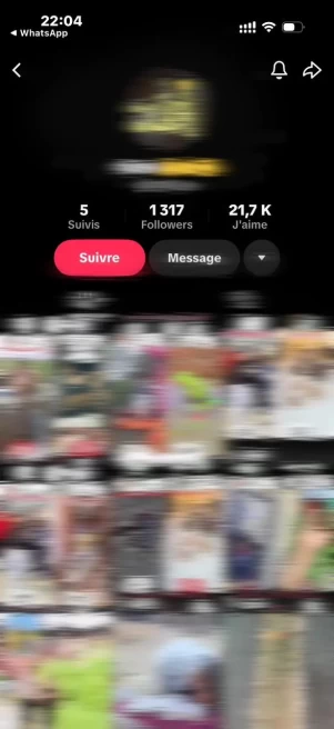 USA | 1.300+ Real Followers | High Engagement | 21.000+ Real likes | 25k+ Viral Views | Live Ready | Monetized Country | Beta| INSTANT DELIVERY