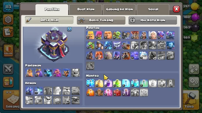 TH 15 - BH 6|Limited Skin|LV 113|HH 7|BK 52,AQ 51,GW 31,MP 21,RC 9|Gems 1004|CN OFF|Protect OFF|TAKE MAIL(COC1796)