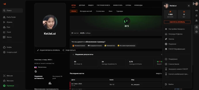 CS556 FACEIT Level 2, 31 Matches, 150+ Hours in CS2, No Prime