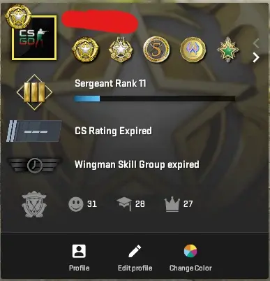 CS566 Prime Enabled, 8 Medals: Service 2026, 2025, 2023 (2lvl), 2022 (2lvl), 2021, Gold Riptide, 5 Year Veteran, GO Badge, 4837 Hours