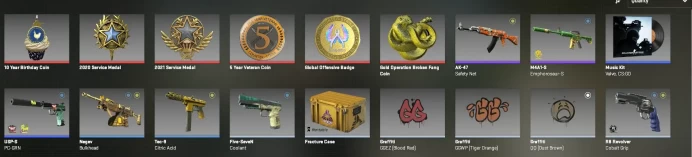 CS568 Prime Enabled, 6 Medals: Service 2020, 2021, 10 Year Birthday, Gold Broken Fang, 5 Year Veteran, GO Badge, 945 Hours, Faceit Linked