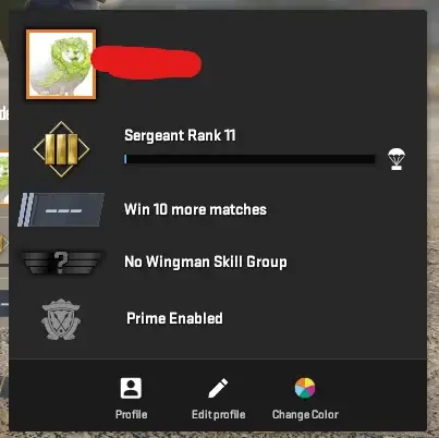 CS570 Prime enabled, 34 Hours, Premier ready, Faceit not linked, Full Access