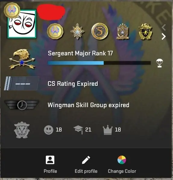 CS572 Prime enabled, 6 Medals: Service 2018, 2022, 2023, 5 Year Veteran, Loyalty Badge, GO Badge, 1511 Hours, Private rank 17, Faceit not linked