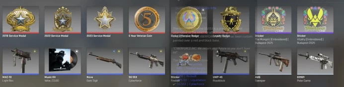 CS572 Prime enabled, 6 Medals: Service 2018, 2022, 2023, 5 Year Veteran, Loyalty Badge, GO Badge, 1511 Hours, Private rank 17, Faceit not linked