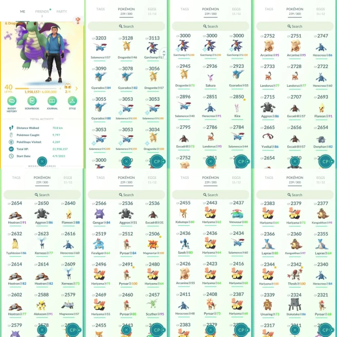 AC911 Instintic | x15 3000CP | x167 2000CP | x11 SHUNDO Venusaur Empoleon Serperior Eevee | 100IV x3 Garchomp | Shiny Shadow x3 Dragonite x4 Sal