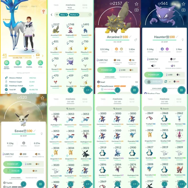 AC919 Instintic | x17 3000CP | x156 2000CP | x12 SHUNDO | Shiny Landorus Xerneas x2 Genesect Golurk | Shiny SHADOW x4 Dragonite x5 Salamence Mar