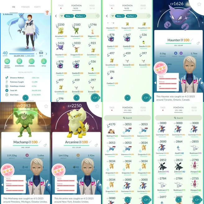 AC928 Mystic | x16 3000CP | x127 2000CP | x13 SHUNDO Arcanine Machamp Haunter | 100IV x4 Salamence x5 Dragonite x6 Garchomp | Shiny Articuno Hea