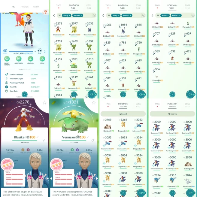 AC944 Mystic | x20 3000CP | x165 2000CP | x25 SHUNDO Blaziken Venusaur | 100 IV Purified x10 Garchomp x5 Dragonite | Shiny Moltres Genesect Azel