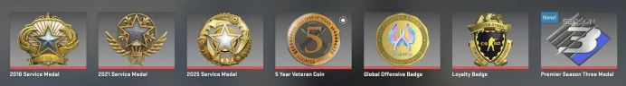 CS575 Prime Enabled, 7 Medals: Service 2018, 2021, 2025, Premier Season Three, Loyalty Badge, 5 Year Veteran, GO, 1146 Hours, FACEIT Linked, Pre