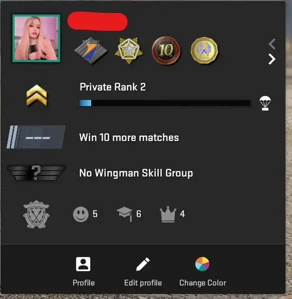 CS576 Prime enabled, 6 Medals: Loyalty Badge, 10, 5 Year Veteran, GO Badge, Service 2024, Premier Season One, 2011 account, 441 Hours