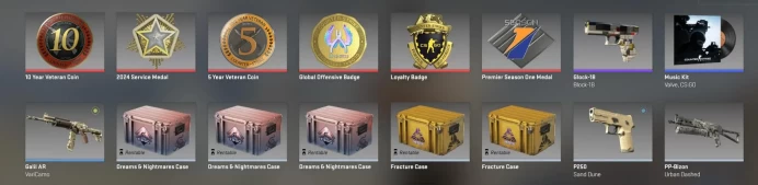 CS576 Prime enabled, 6 Medals: Loyalty Badge, 10, 5 Year Veteran, GO Badge, Service 2024, Premier Season One, 2011 account, 441 Hours