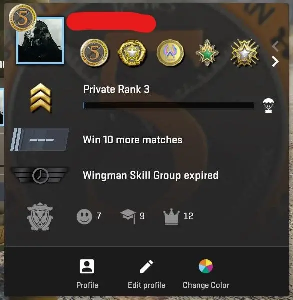 CS577 Prime enabled, 6 Medals: Service 2019, 2023 (2lvl), 2025, Loyalty Badge, 5 Year Veteran, GO Badge, 1384 Hours, 2012 acc, FACEIT Linked