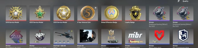 CS577 Prime enabled, 6 Medals: Service 2019, 2023 (2lvl), 2025, Loyalty Badge, 5 Year Veteran, GO Badge, 1384 Hours, 2012 acc, FACEIT Linked