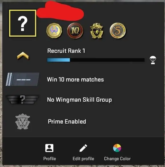 CS579 Prime enabled, 4 Medals: Loyalty Badge, 10, 5 Year Veteran, GO Badge, 2013 acc, Faceit not linked, Premier not ready