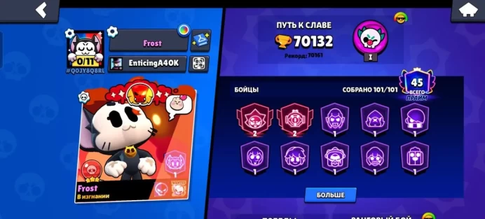 BS753 70132 Trophies 101 Brawlers 32 Hyper 35-11 Power 280 Skins 43 Titles 2022 Year