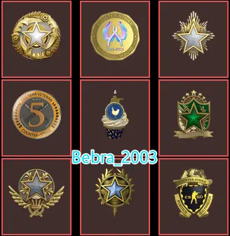 CS2 Prime 1712 hours+9Medals(2020-2021-2022-2023-2025 Service Medal/10 Year Birthday Coin/5Y/Loyalty Badge/Global Offensive Badge)
