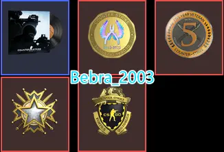 Steam Paid games 62 Game-CS2 Prime 470 hours+4Medals(2019 Service Medal/5Y/Loyalty Badge/Global Offensive Badge)