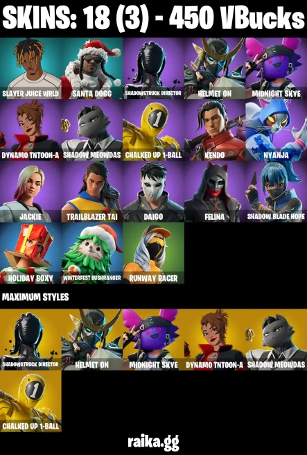 18 skins | Slayer Juice WRLD | Santa Dogg | Shadowstruck Director | helmet on | Midnight Skye | Dynamo TNToon-a | A3912