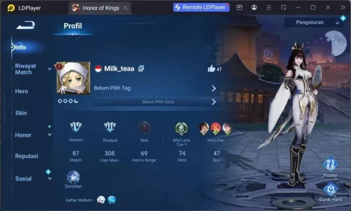 Global Hero74 Skin47 |Legend LadySun+Angela|LOM Guiguzi|Worldly YangJian|Many Epic |LogLI ETC Check SS HOK326B