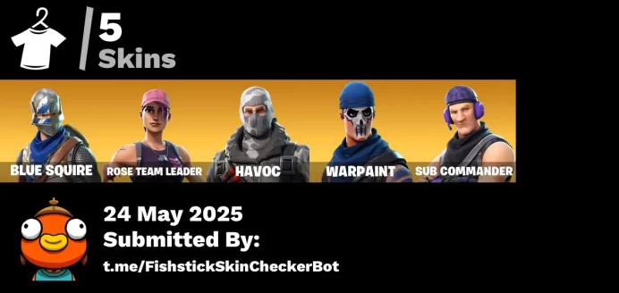 [PC/PSN] 5 skins | OG STW | Blue Squire | Havoc | Sub Commander | Pursuit | Skirmish | Backup Plan | Squire Shield | Clawz Retro | Instigator |