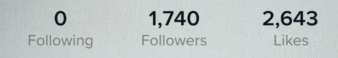 USA | 1.700+ Real Followers |2,6k+ Real likes |10k+ Viral Views | Live Ready | Monetized Country | Beta| INSTANT DELIVERY