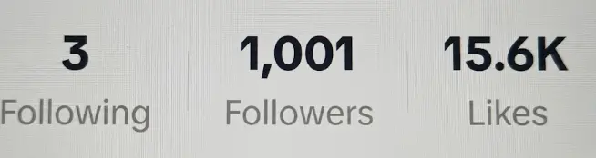 USA | 1.500+ Real Followers |37k+ Real likes |100k+ Viral Views | Live Ready | Monetized Country | Beta| INSTANT DELIVERY