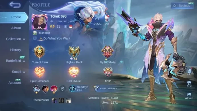 Global|Hero 115 Skin 162|Expert|LBox Irithel|M7 Granger|Gaara|SeiyaBadang|VENOM Gusion+Hanabi|SABER Saber|More Check SS ML1935B