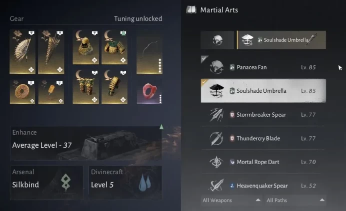 WWM3//A LOT OF DONATION HEAL ACCOUNT 85 LVL / 23839 GS FAN + UMBRELLA 2 LEGENDARY SKINS