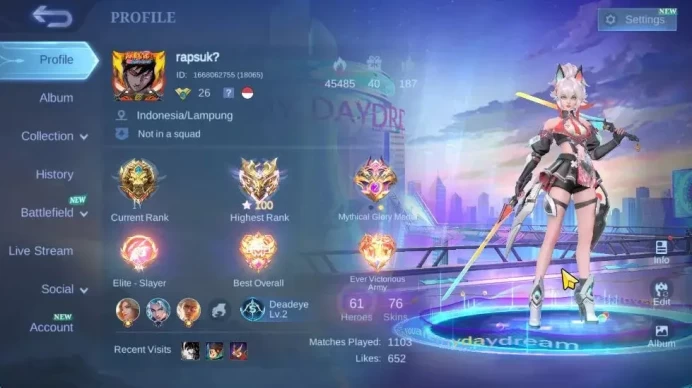 Hero 61|Skin 76|High Immo 100|LB Granger,Fanny[Valentine,PACE],Naruto Vale,Myst Lesley,3 DT,1 SABER|TakeMail|CheckSS(MLBB2216)