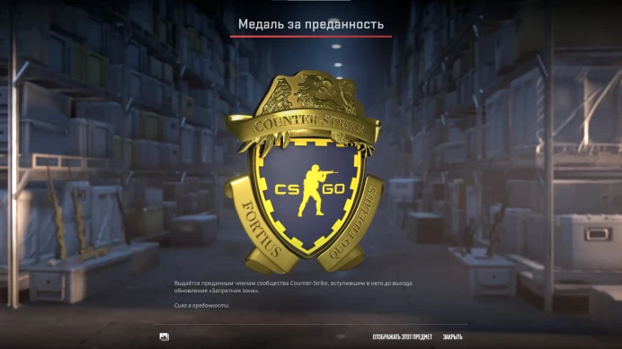 CS701 Prime Enabled, 4 Medals including 10 and 5 years veteran coins, Steam Level 6, Faceit not linked