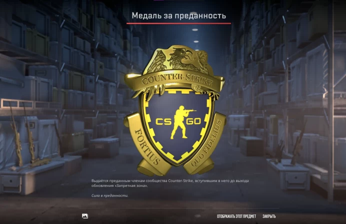 CS706 Prime Enabled, PUBG PLUS, 22 Hours in CS2, 3 Medals including 5 years Veteran Coin, CSGO Music Kit, Steam Level 6, Since 2016