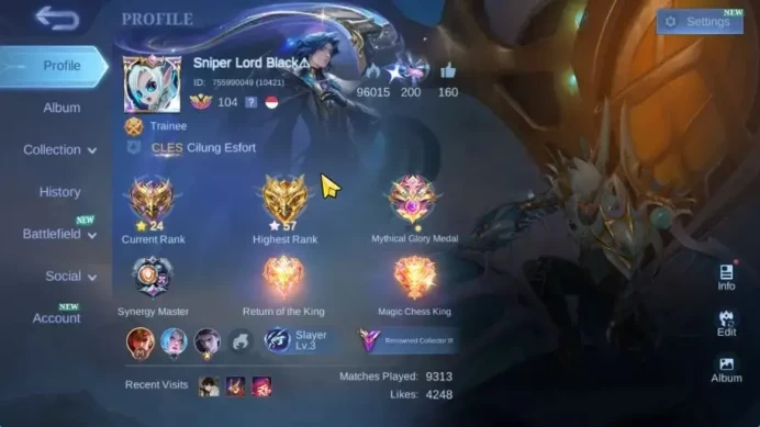 Hero 132|Skin 256|High Glory 57|KOF Karina, LBox Karina, CC Natalia, Naruto Vale, LB Tigreal, 2 Saber|Take Mail|(MLBB2220)