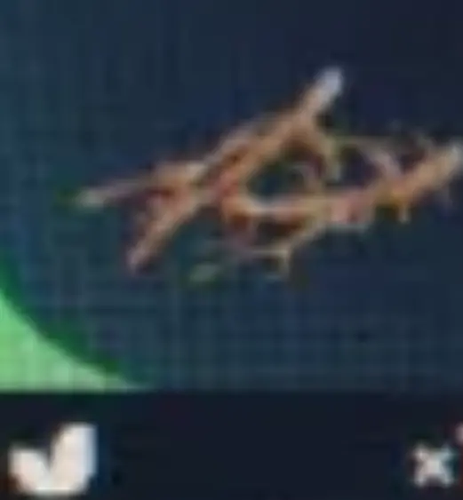 1* Roots