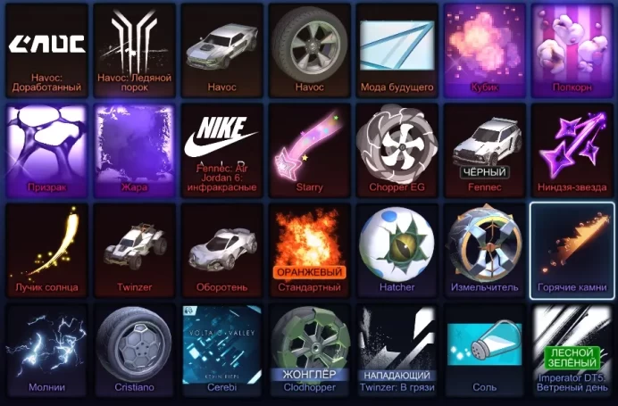RL231//Full Access Account with BLACK FENNEC, STANDARD, BM