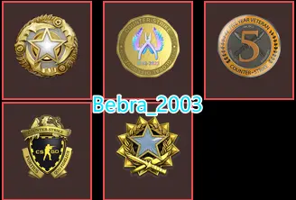 18Game-Rust-CS2 Prime 568 hours+5Medals(2017-2025 Service Medal/5Y/Loyalty Badge/Global Offensive Badge)