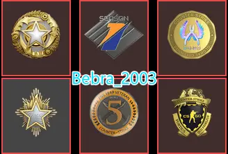25Game-InVentory-CS2 Prime 289 hours+6Medals(2023-2025 Service Medal/Premier Medal/5Y/Loyalty Badge/Off Badge)