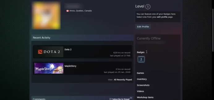 Dota2_Behavior 9171_ Ready For Ranked_629 hrs _no access to email (read description)