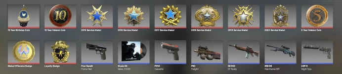 CS762 Prime, 11 Medals: Service 2015, 2016 (2lvl), 2017 (2lvl), 2018, 2019, 2022, 10 Year Birthday, 5, 10 Year, Faceit Linked, Premier ready