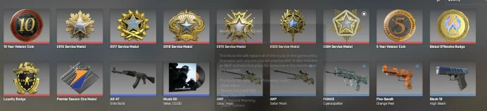 CS763 Prime enabled, 11 Medals: Service 2016, 2017, 2018, 2019, 2020, 2024, Premier Season One, 5, 10 Year Veteran, Loyalty Badge, GO Badge